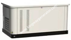 Kingway 50/60HZ 1/3phase 5.5kw Lifanエンジンの家のコックのための飲用無声天燃ガスの発電機セット